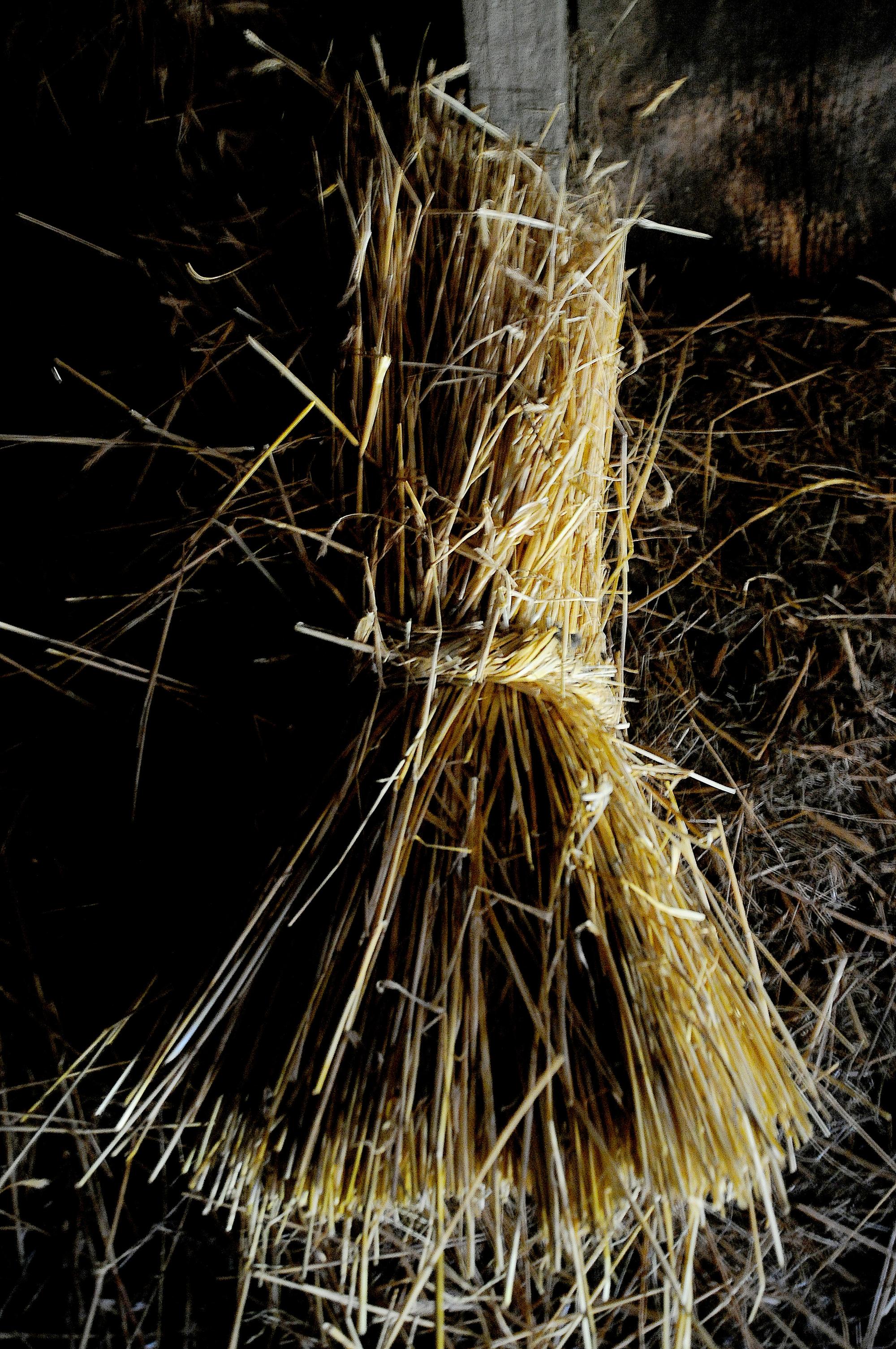 Pallozas Miguel Núñez - 8